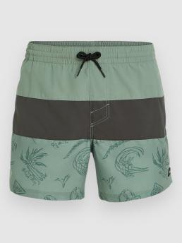 O'Neill Mix & Match Cali Block 15'' Boardshorts green vintage surfer