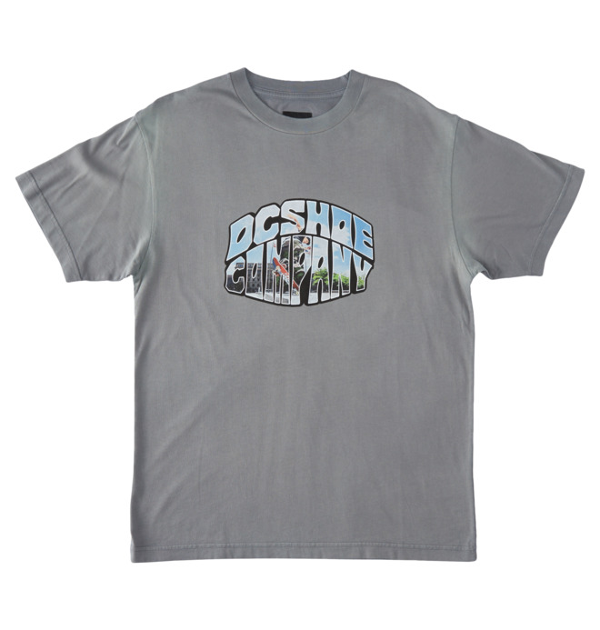 DC Shoes Citywide - T-Shirt for Men