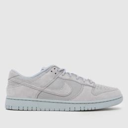 Nike Dunk Low Trainers in Grey