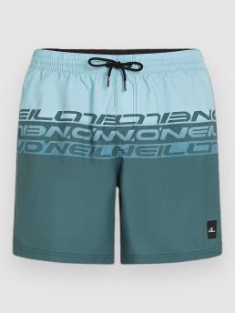 O'Neill Cali Stripe 16'' Boardshorts blue upside down