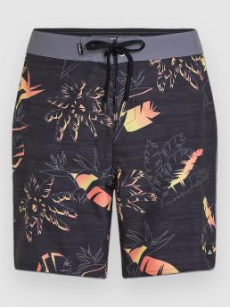 O'Neill Hyperfreak Mysto Scallop 19