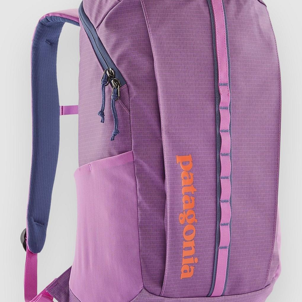 Patagonia Black Hole 25L Backpack brisk purple