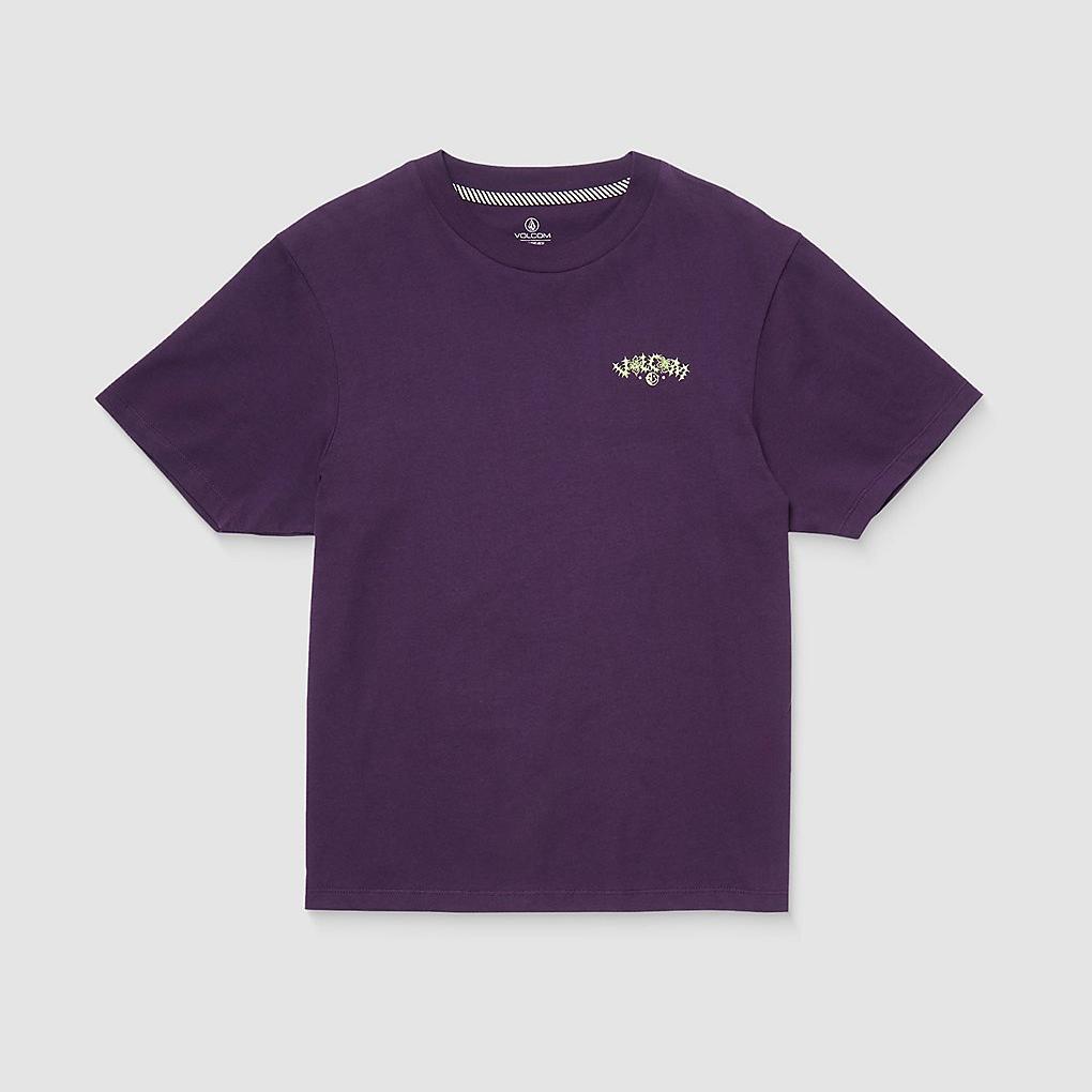 Volcom Radical Daze Up T-Shirt grape royale